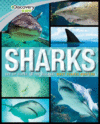 Discovery Kids Sharks: Get Up Close to the Oceans