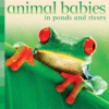 Animal Babies in Ponds and Rivers (Board)
