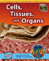 CELLS  TUSSUES  AND ORGANS
