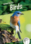 Birds (Animal Classes)