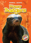 HONEY BADGERS