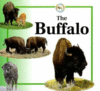 BUFFALO