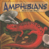 AMPHIBIANS : WATER-TO-LAND ANIMALS