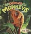 ENDANGERED MONKEYS