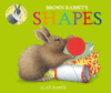 Brown Rabbit's Shapes ( Little Rabbit Books )(Boar