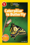 Caterpillar to Butterfly (Nat Geo Lvl 1)(LB)