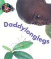 DADDYLONGLEGS