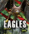 Eagles ( Birds of Prey )