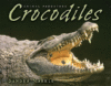 CROCODILES