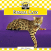 Bengal Cats