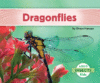 DRAGONFLIES