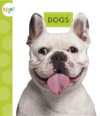 Dogs ( Spot Pets )