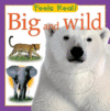 BIG & WILD