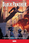 Black Panther A Nation Under Our Feet 2