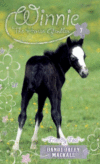 FRIENDLY FOAL
