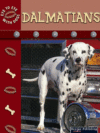 DALMATIANS
