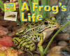 FROG'S LIFE  ( Animal Diaries: Life Cycles )