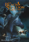 BLACK STALLION MYSTERY #13 ( Black Stallion )