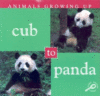 CUB TO PANDA