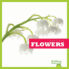 Flowers (Nature Walk)(LB)