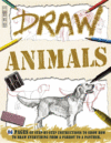 DRAW ANIMALS