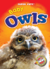 BABY OWLS