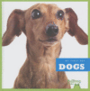 Dogs (My First Pet)(LB)