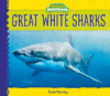 Great White Sharks (Animal Kingdom)