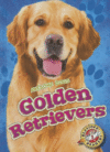 GOLDEN RETRIEVERS