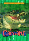CAIMANS