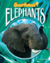 ELEPHANTS