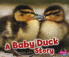 BABY DUCK STORY