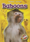 BABOONS