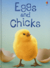 EGGS & CHICKS  LEVEL 1 : INTERNET REFE