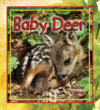 BABY DEER