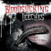 BLOODSUCKING LEECHES (REAL LIFE VAMPIRES