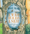 A WASP BUILDS A NEST : SEE INSIDE A PAPE