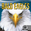 Bald Eagles ( Animal Icons )