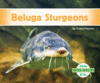 Beluga Sturgeons (Super Species)