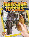 DINOSAUR FOSSILS