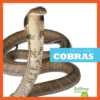 COBRAS (REPTILE WORLD)