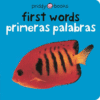 FIRST WORDS / PRIMERAS PALABRAS