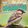 BIRD WATCHER'S GUIDE TO SPARROWS