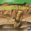 EGYPTIAN COBRA