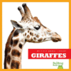 GIRAFFES