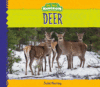 Deer (Animal Kingdom)