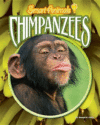 CHIMPANZEES