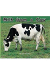 BRP FC YEL NF MILK FROM A COW 8-9