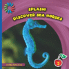 DISCOVER SEA HORSES (LB)