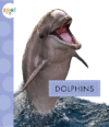 Dolphins ( Spot Ocean Animals )